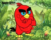 Red de Angry Birds