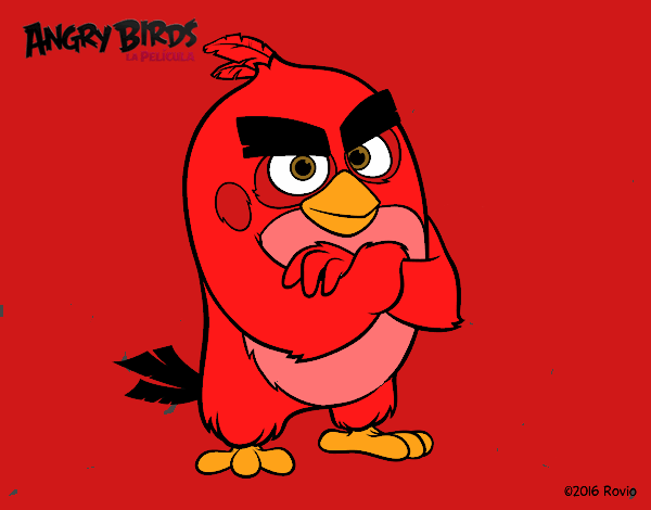 Red de Angry Birds