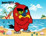 Red de Angry Birds