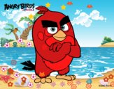 Red de Angry Birds