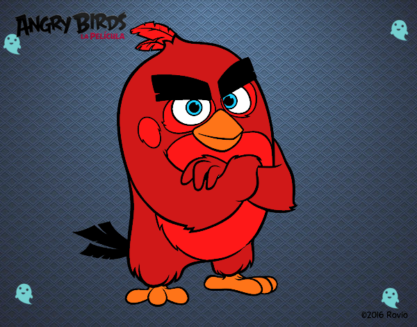 Red de Angry Birds