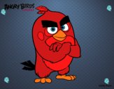 Red de Angry Birds