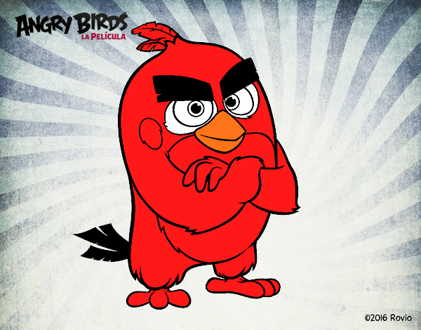 angry birds 