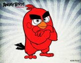 Red de Angry Birds