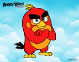 Red de Angry Birds