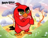 Red de Angry Birds