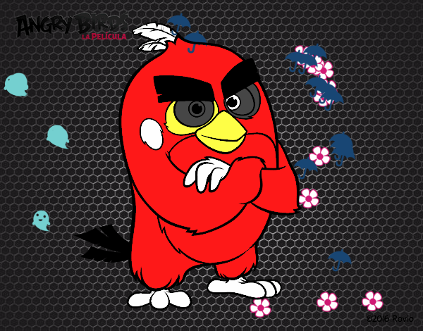 Red de Angry Birds