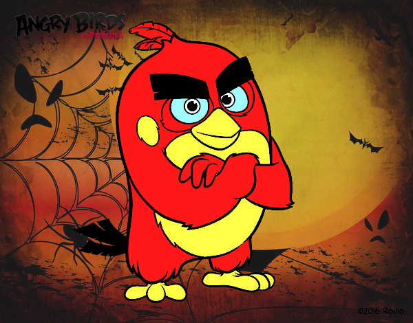 Red de Angry Birds