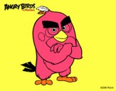 Red de Angry Birds