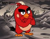 Red de Angry Birds