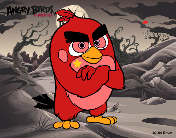 Red de Angry Birds