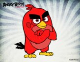 Red de Angry Birds