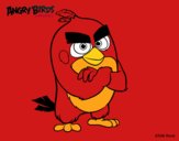 Red de Angry Birds