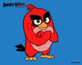 Red de Angry Birds