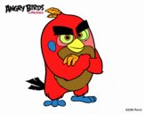 Red de Angry Birds