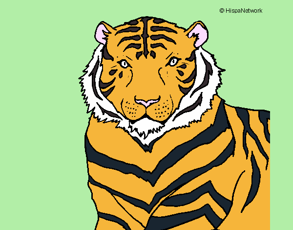 el tigre de la selva verde