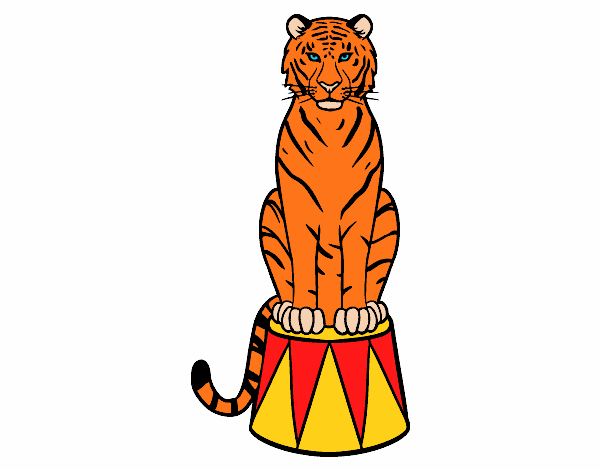 Tigre de circo