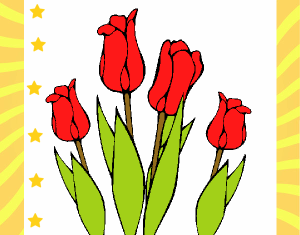 los tulipanes mas lindos