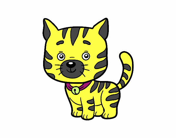 Dibujo Un gato doméstico pintado por bloomwinx