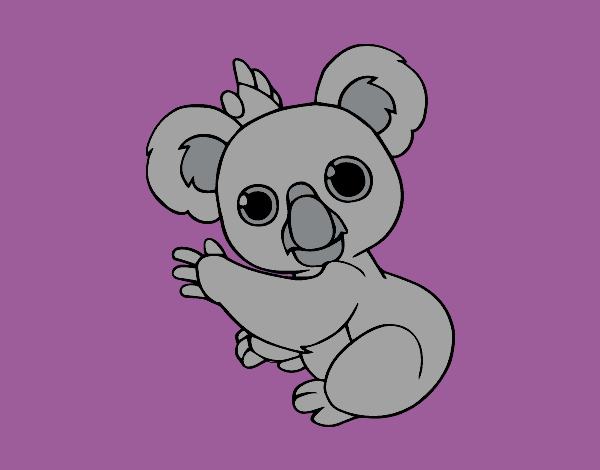 Un Koala