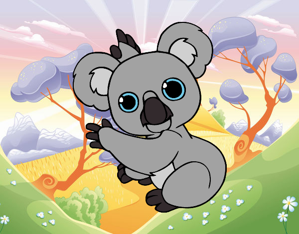 Un Koala