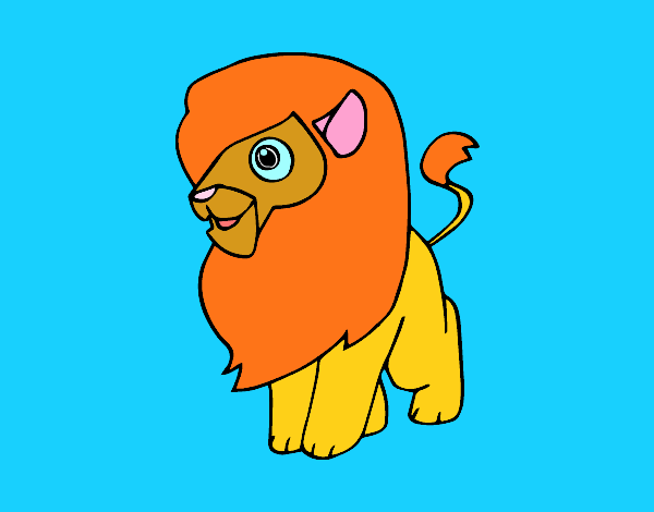 Un león