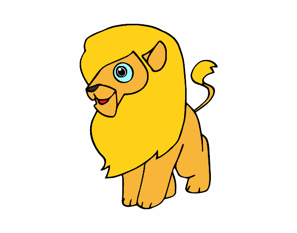 Un león