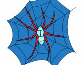 Araña