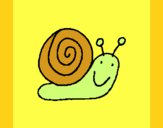 Caracol 4