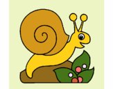 Caracol