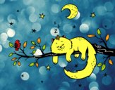 El gato y la luna