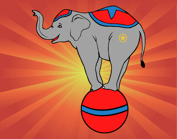 Elefante equilibrista