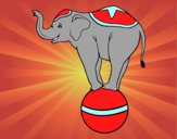 Dibujo Elefante equilibrista pintado por belito