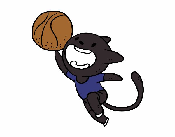 Gato jugando a baloncesto