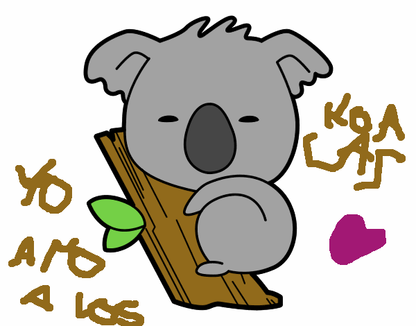 Koala bebé