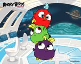 Las crias de Angry Birds