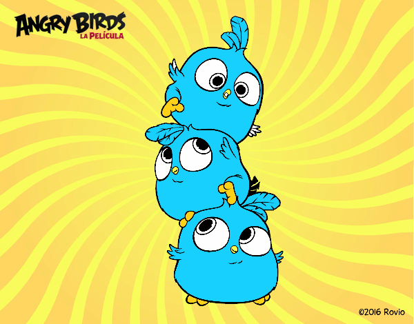 BEBES ANGRIBIRDS