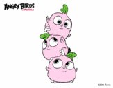 Dibujo Las crias de Angry Birds pintado por juaqu