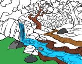 Dibujo Paisaje de bosque con un río pintado por valcarrera