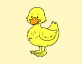 Patito de granja