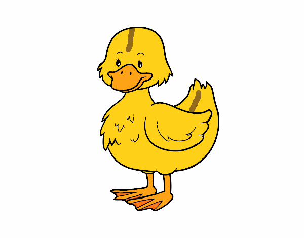 Patito