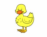 Patito de granja