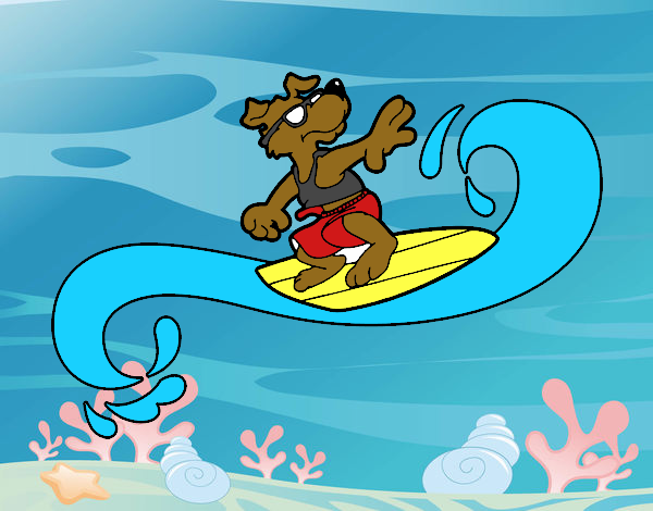 Perro surfeando