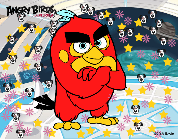 Red de Angry Birds