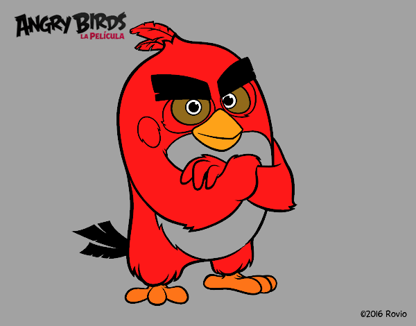 Red de Angry Birds