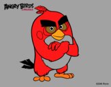 Red de Angry Birds