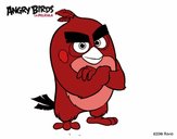 Red de Angry Birds