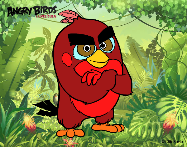 Red de Angry Birds