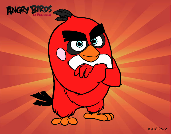 Red de Angry Birds