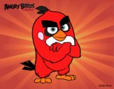 Red de Angry Birds